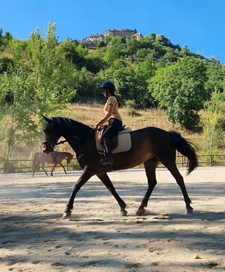 Cours d'équitation